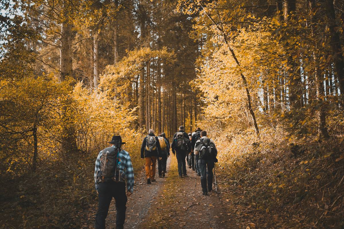 Participants in a hiking trekking outdoor group fitness classe navigating a forest trail with instructor guidance